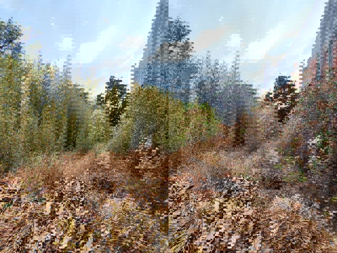 Venta de Terreno Tzompantle