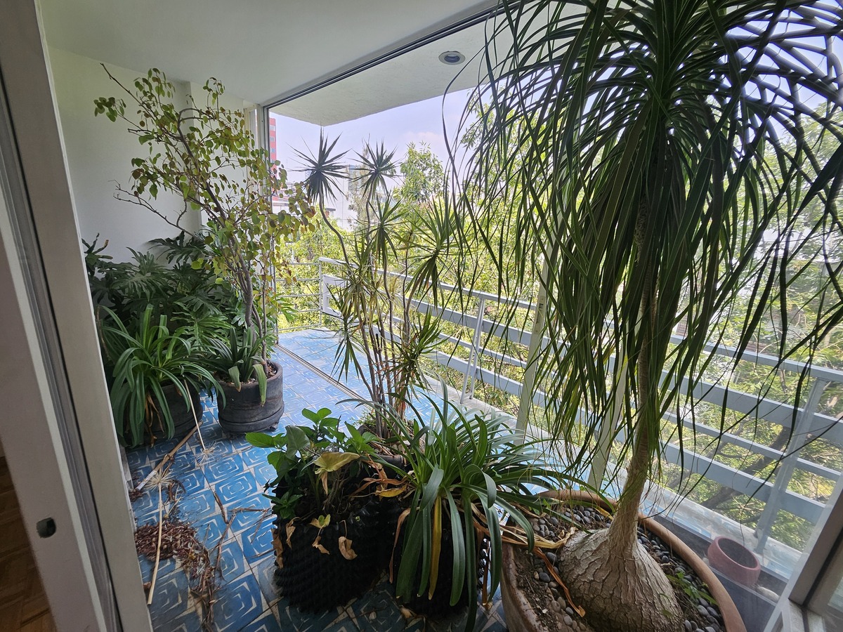 Venta de Departamento en la Condesa, Cuauhtémoc